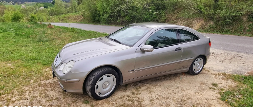 Mercedes-Benz Klasa C cena 14900 przebieg: 175500, rok produkcji 2003 z Radomsko małe 79